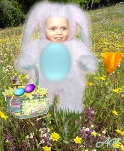 dylanbunny.jpg
